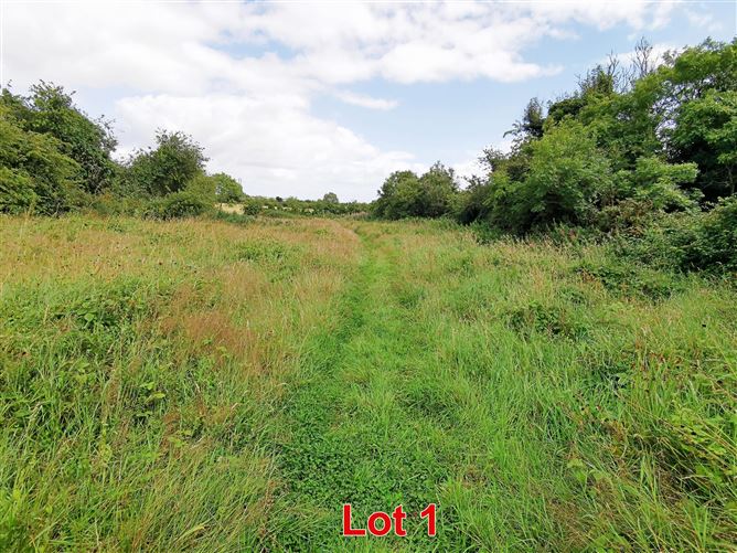 Donore Road, Drogheda, Meath