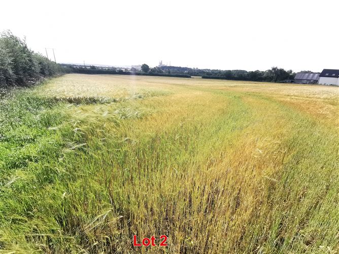 Donore Road, Drogheda, Meath