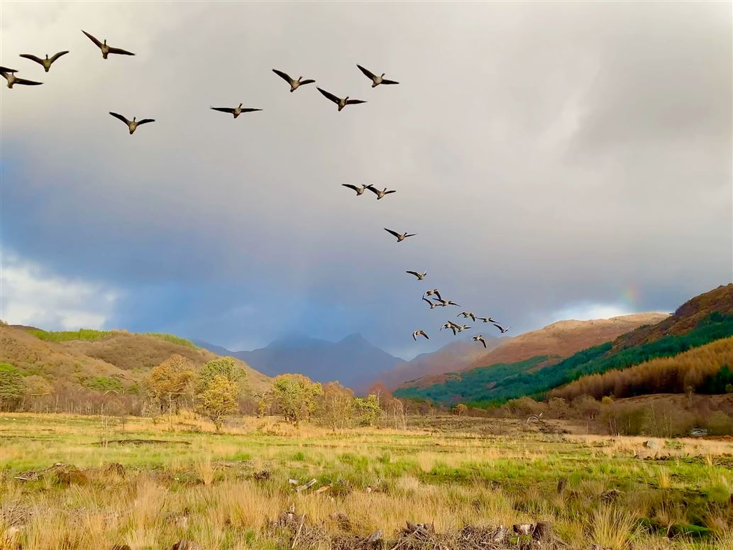 Allt An Dorran,Salen, Highland, Scotland