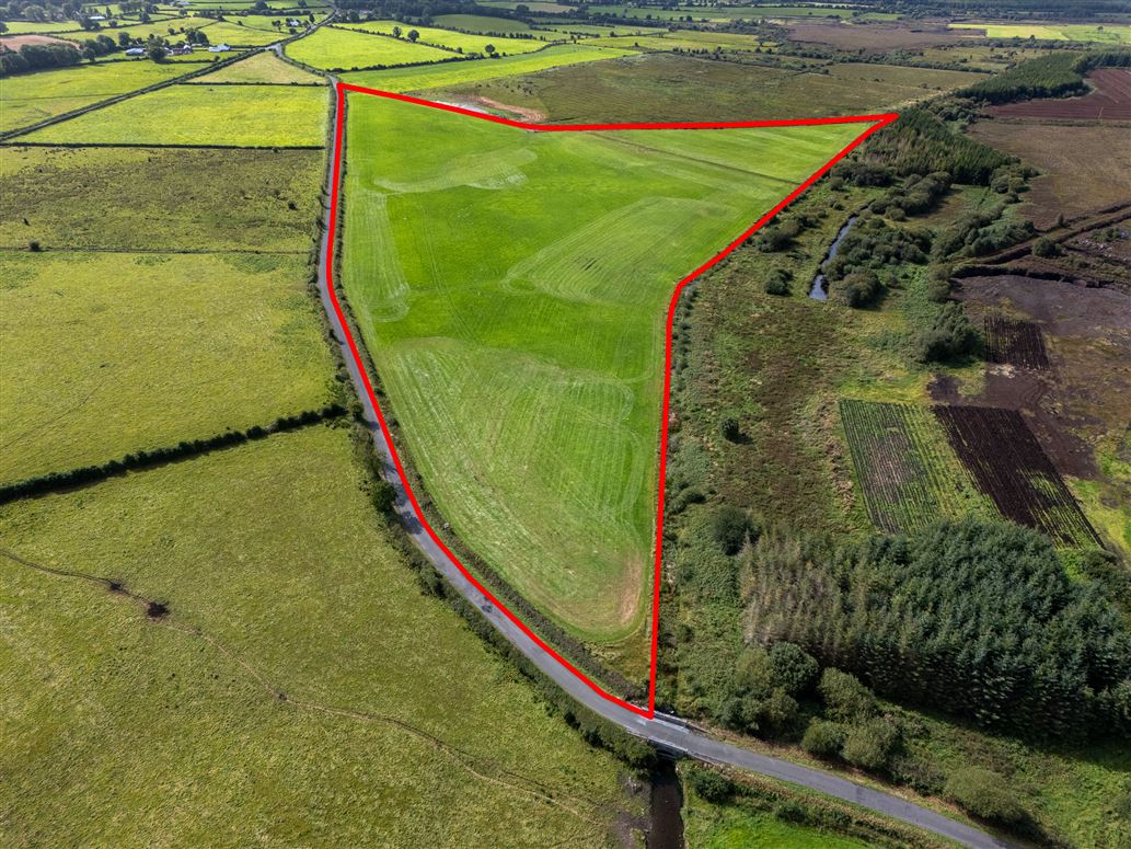 Lands of c. 25.50 Acres at Derryharney, Belmont, Offaly