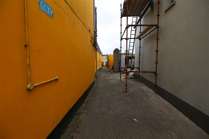 Golden Phoenix, Main Street, Hospital, Limerick
