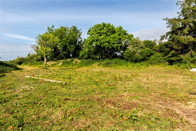 The Bog, Battlestown, Ramsgrange, Co. Wexford