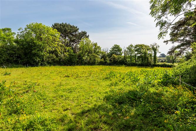 The Bog, Battlestown, Ramsgrange, Co. Wexford