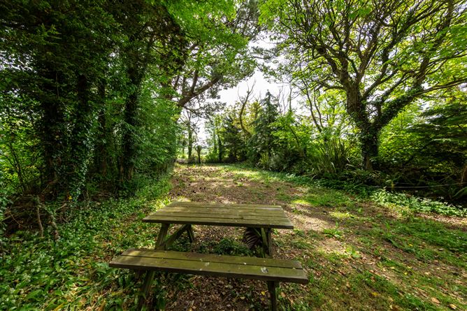 The Bog, Battlestown, Ramsgrange, Co. Wexford