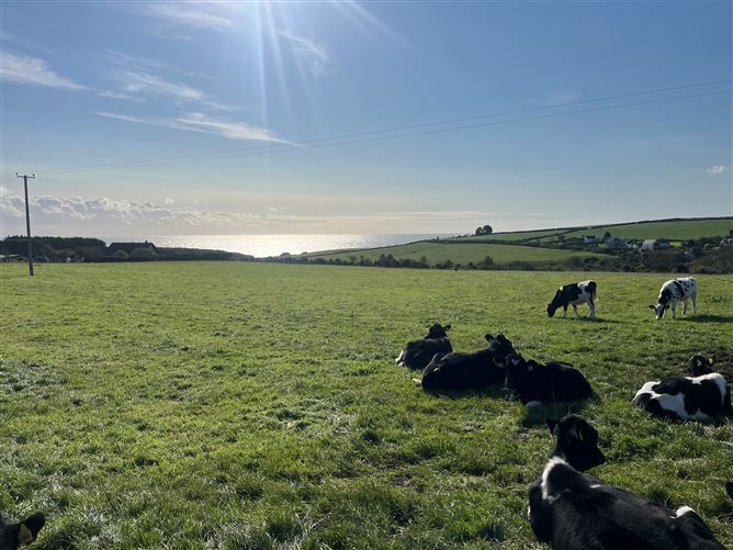 56 acres at Dunbur Head, Wicklow Town, Wicklow