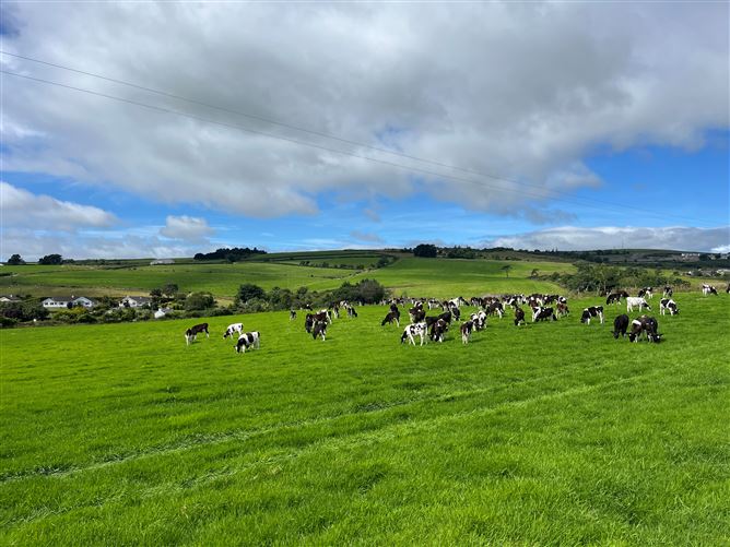 56 acres at Dunbur Head, Wicklow Town, Wicklow