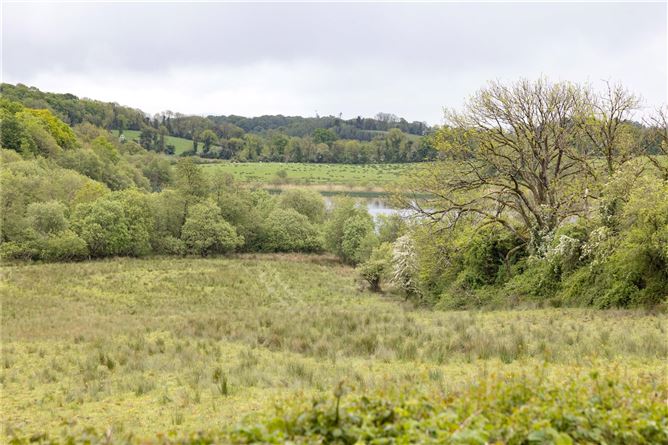 Parisee, Belturbet, Co. Cavan