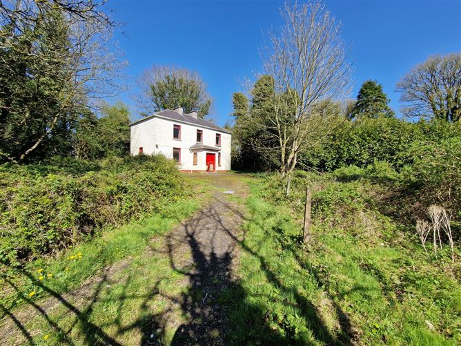Teach an Draoi, Killasser, Swinford, Co. Mayo