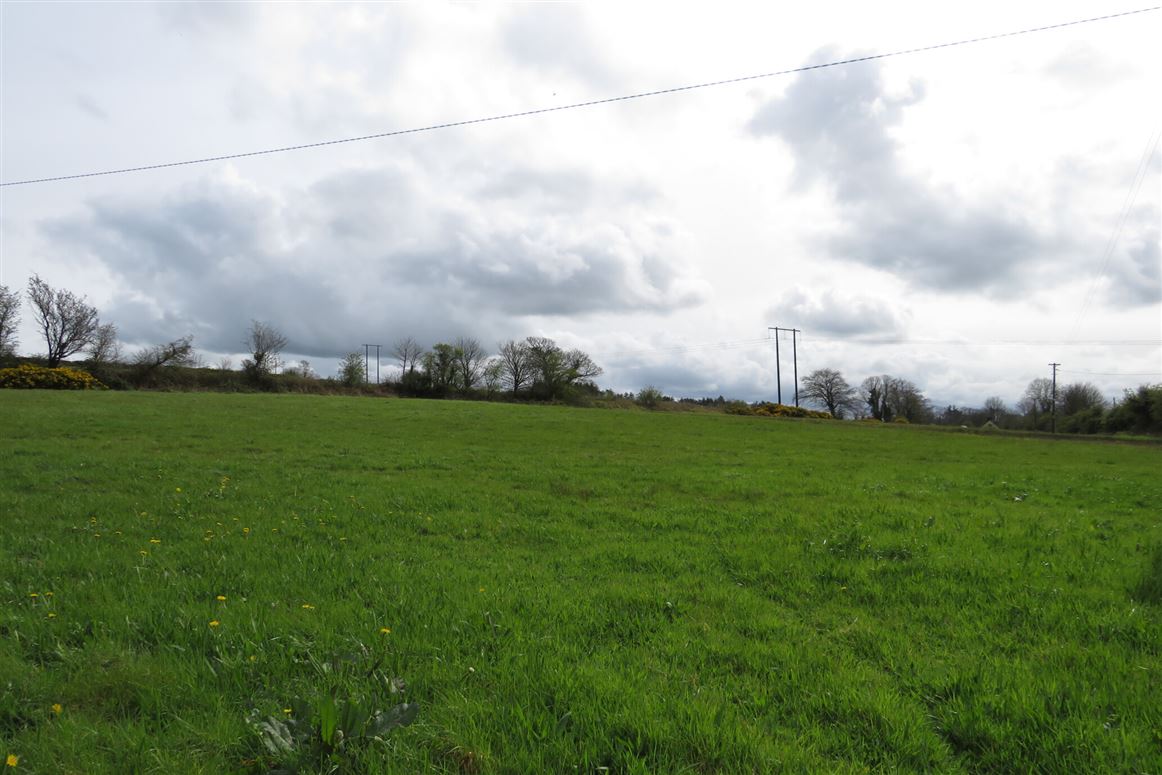 Castlewrixon, Ballyhea, Charleville, Co. Cork Sherry Fitzgerald