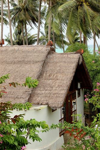 Private, Ary's Lagoon Resort, Central Java, Kemujan