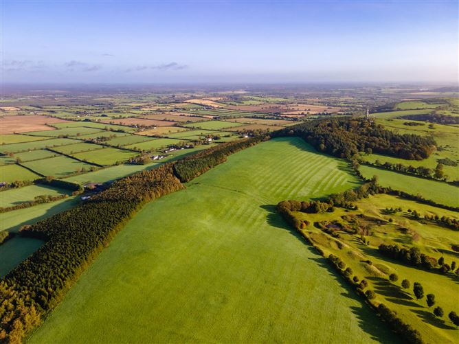 Guidenstown Farm (The Entire), Approx. 52 Hec (130 Acres), Guidenstown, County Kildare