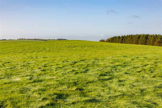 Guidenstown Farm (The Entire), Approx. 52 Hec (130 Acres), Guidenstown, County Kildare