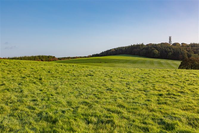 Guidenstown Farm (The Entire), Approx. 52 Hec (130 Acres), Guidenstown, County Kildare