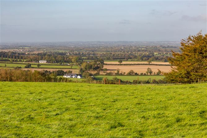 Guidenstown Farm (The Entire), Approx. 52 Hec (130 Acres), Guidenstown, County Kildare