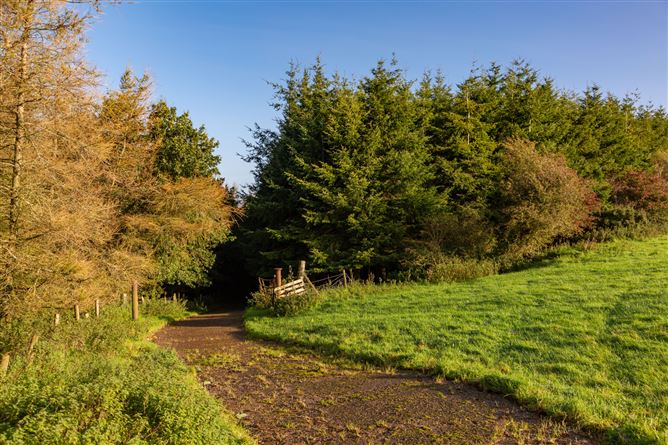 Guidenstown Farm (The Entire), Approx. 52 Hec (130 Acres), Guidenstown, County Kildare