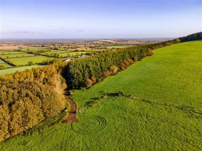 Guidenstown Farm (The Entire), Approx. 52 Hec (130 Acres), Guidenstown, County Kildare