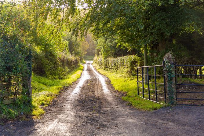 Guidenstown Farm (The Entire), Approx. 52 Hec (130 Acres), Guidenstown, County Kildare