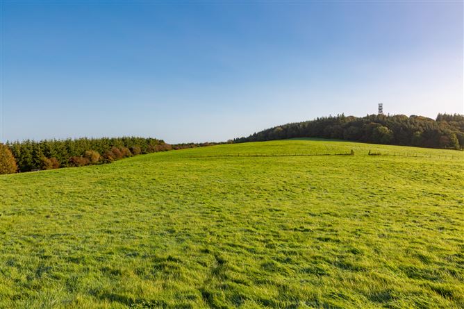 Guidenstown Farm (The Entire), Approx. 52 Hec (130 Acres), Guidenstown, County Kildare