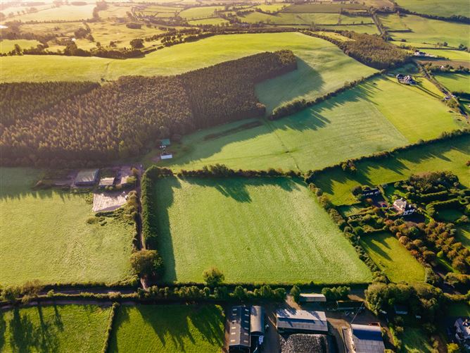 Guidenstown Farm (The Entire), Approx. 52 Hec (130 Acres), Guidenstown, County Kildare