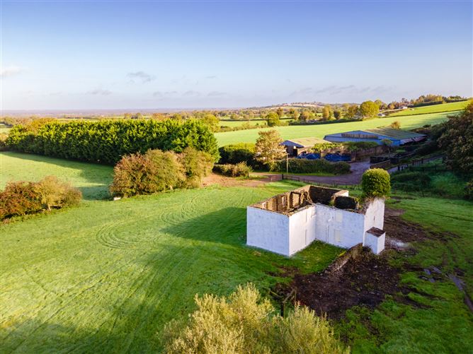 Guidenstown Farm (The Entire), Approx. 52 Hec (130 Acres), Guidenstown, County Kildare