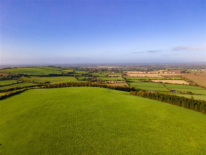 Guidenstown Farm (The Entire), Approx. 52 Hec (130 Acres), Guidenstown, County Kildare