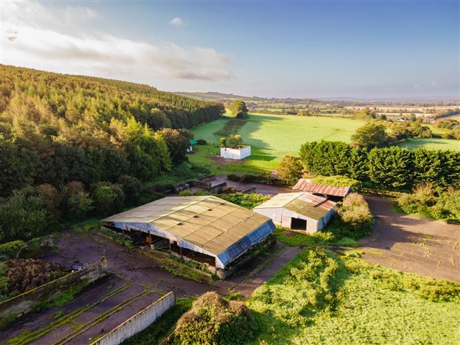 Guidenstown Farm (The Entire), Approx. 52 Hec (130 Acres), Guidenstown, County Kildare