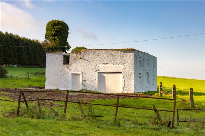 Guidenstown Farm (The Entire), Approx. 52 Hec (130 Acres), Guidenstown, County Kildare