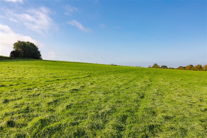 Guidenstown Farm (The Entire), Approx. 52 Hec (130 Acres), Guidenstown, County Kildare