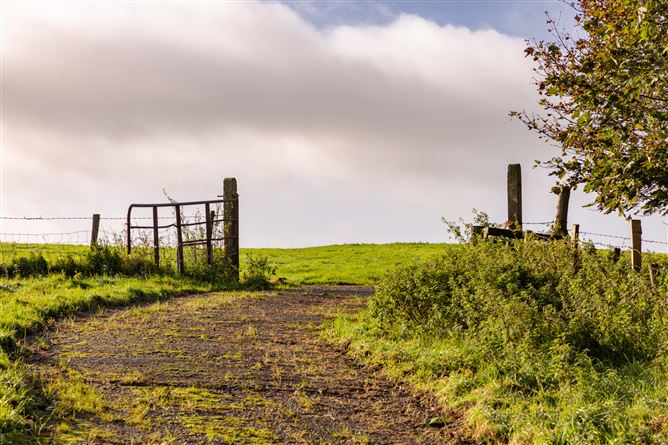 Guidenstown Farm (The Entire), Approx. 52 Hec (130 Acres), Guidenstown, County Kildare