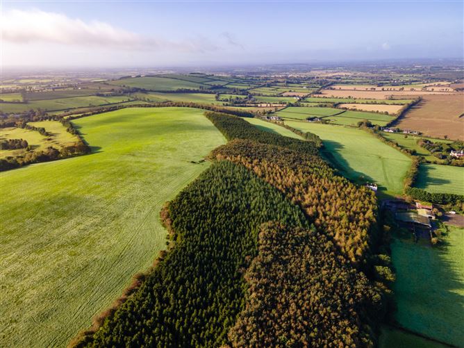 Guidenstown Farm (The Entire), Approx. 52 Hec (130 Acres), Guidenstown, County Kildare