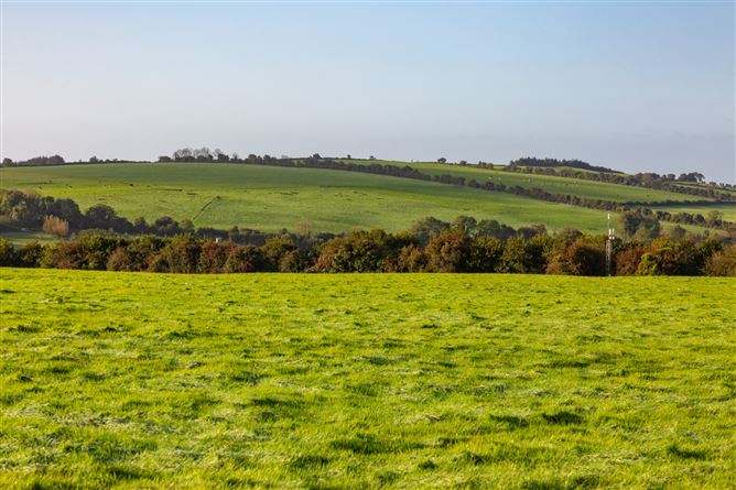 Guidenstown Farm (The Entire), Approx. 52 Hec (130 Acres), Guidenstown, County Kildare