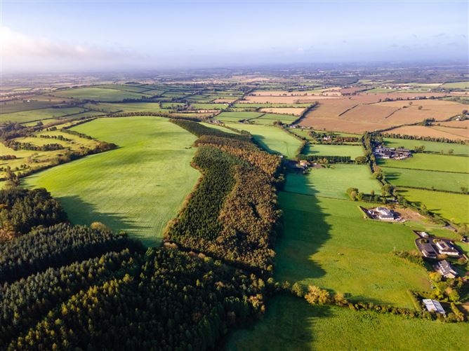 Guidenstown Farm (The Entire), Approx. 52 Hec (130 Acres), Guidenstown, County Kildare