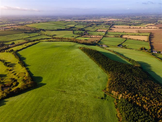 Guidenstown Farm (The Entire), Approx. 52 Hec (130 Acres), Guidenstown, County Kildare