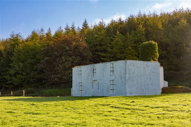 Guidenstown Farm (The Entire), Approx. 52 Hec (130 Acres), Guidenstown, County Kildare