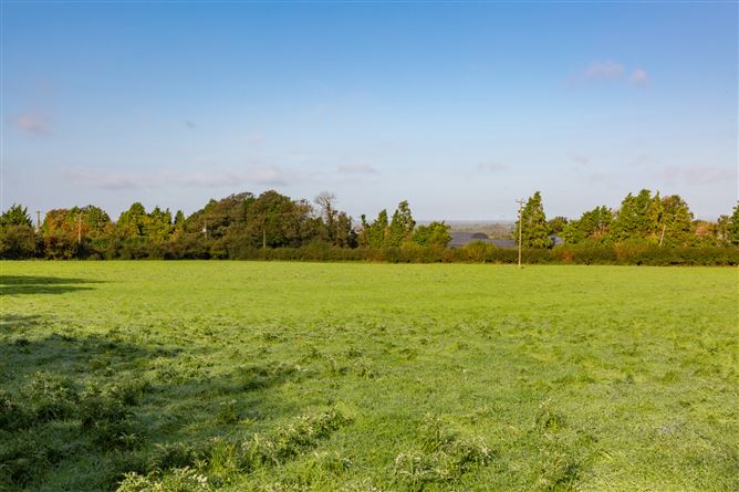 Guidenstown Farm (The Entire), Approx. 52 Hec (130 Acres), Guidenstown, County Kildare