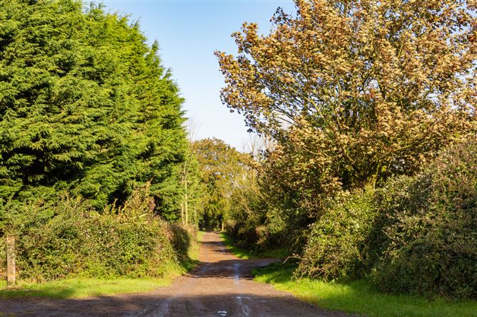 Guidenstown Farm (The Entire), Approx. 52 Hec (130 Acres), Guidenstown, County Kildare