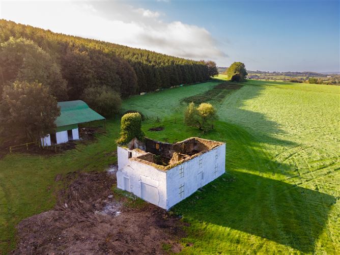 Guidenstown Farm (The Entire), Approx. 52 Hec (130 Acres), Guidenstown, County Kildare