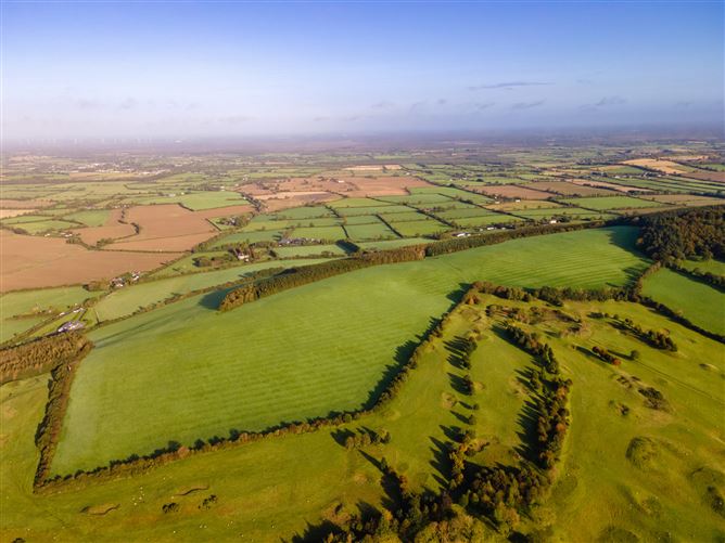 Guidenstown Farm (The Entire), Approx. 52 Hec (130 Acres), Guidenstown, County Kildare