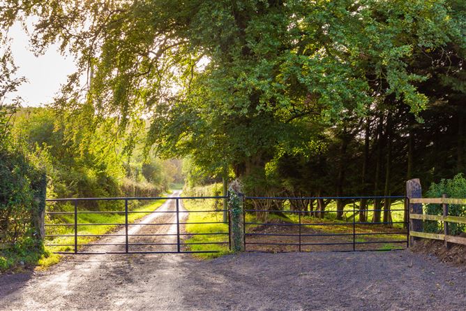Guidenstown Farm (The Entire), Approx. 52 Hec (130 Acres), Guidenstown, County Kildare