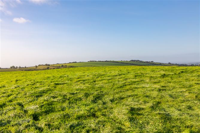 Guidenstown Farm (The Entire), Approx. 52 Hec (130 Acres), Guidenstown, County Kildare