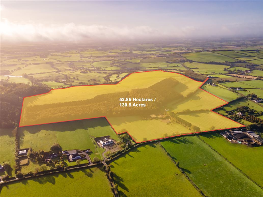 Guidenstown Farm (The Entire), Approx. 52 Hec (130 Acres), Guidenstown, County Kildare