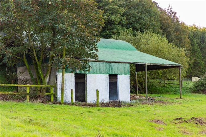 Guidenstown Farm (The Entire), Approx. 52 Hec (130 Acres), Guidenstown, County Kildare