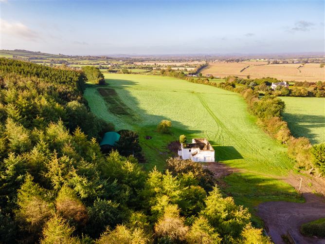 Guidenstown Farm (The Entire), Approx. 52 Hec (130 Acres), Guidenstown, County Kildare