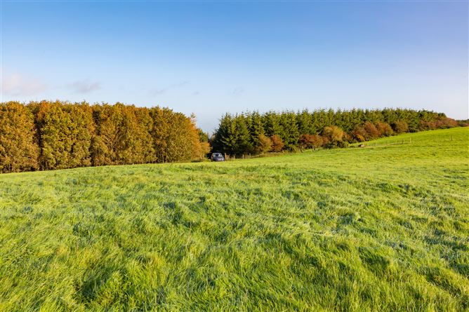 Guidenstown Farm (The Entire), Approx. 52 Hec (130 Acres), Guidenstown, County Kildare