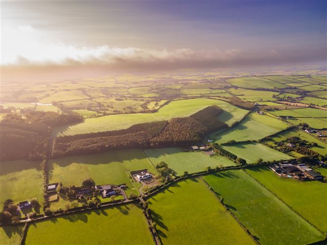 Guidenstown Farm (The Entire), Approx. 52 Hec (130 Acres), Guidenstown, County Kildare