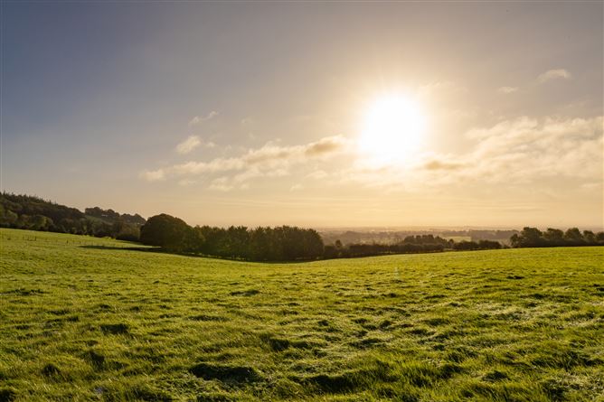 Guidenstown Farm (The Entire), Approx. 52 Hec (130 Acres), Guidenstown, County Kildare
