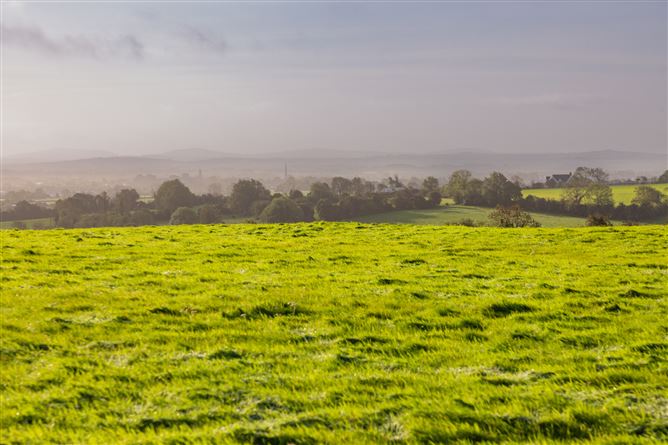 Guidenstown Farm (The Entire), Approx. 52 Hec (130 Acres), Guidenstown, County Kildare
