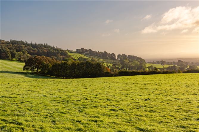 Guidenstown Farm (The Entire), Approx. 52 Hec (130 Acres), Guidenstown, County Kildare