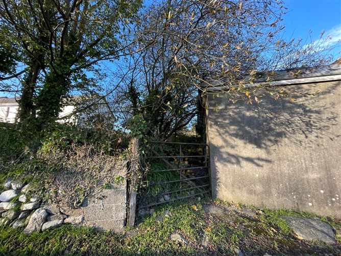 Clongeen, Foulksmills, Co. Wexford