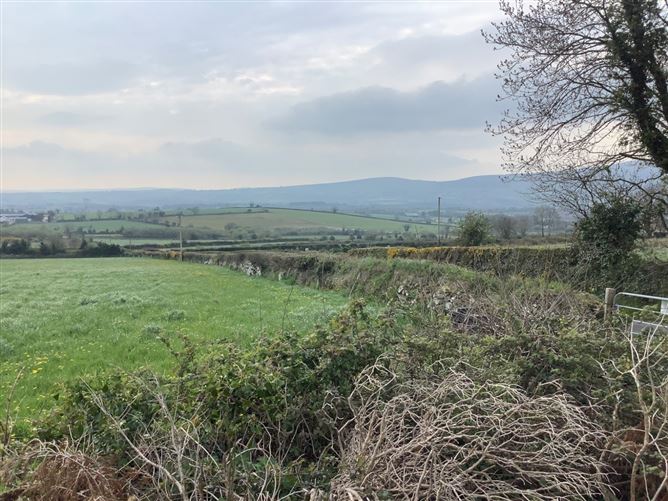 Dranagh, St. Mullin's, Co. Carlow.